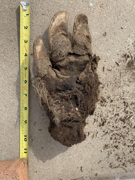 File:167855749 10159489041889916 2056386918426480970 n.jpg