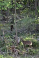 Thumbnail for version as of 20:26, 8 April 2021
