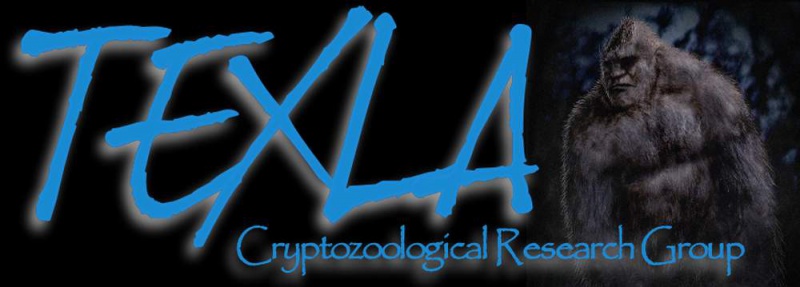 File:Slide1Texla Banner.jpg