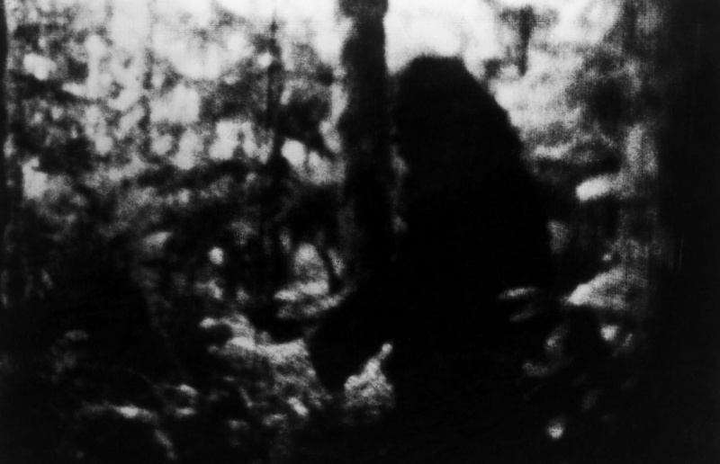 File:C0fd78a6-b116-468d-a52e-4ac4c745925c-bigfoot-americas-greatest-unsolved-mysteries.jpg