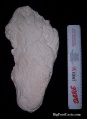 Thumbnail for version as of 20:54, 21 March 2021