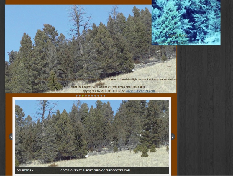 File:2016-02-15 10-40-33.jpg