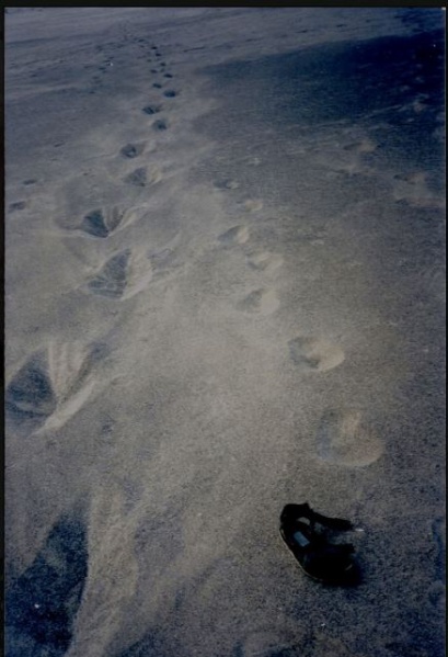 File:380844 10150961076985721 859767930 n.jpg