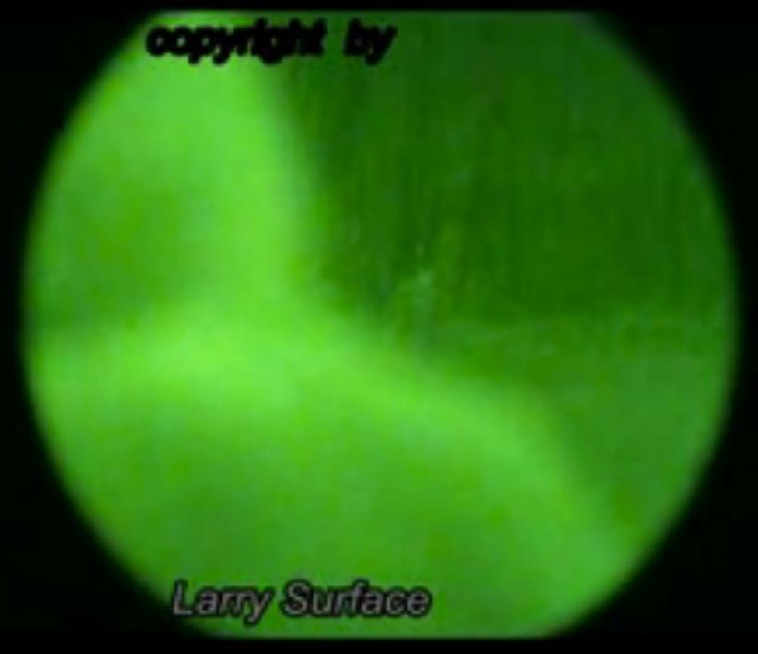 File:376147 10150953526250721 2081145711 n.jpg