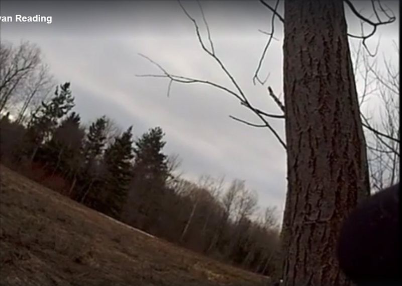 File:4 screen captures that was used for comparison.jpg