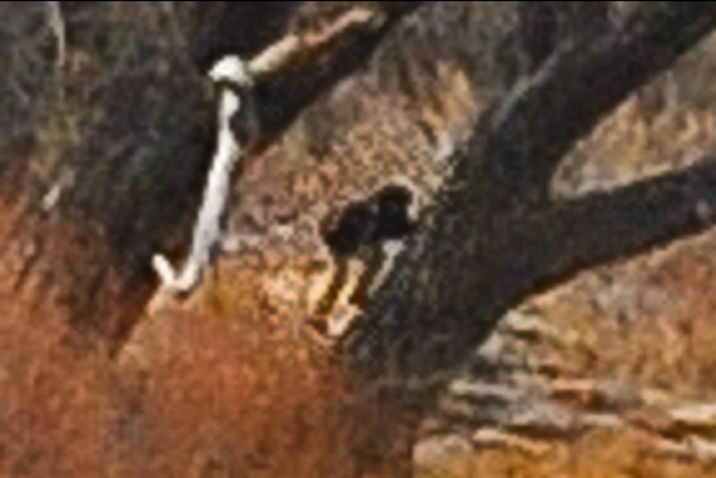 File:329669 10151147195435721 45359687 o.jpg