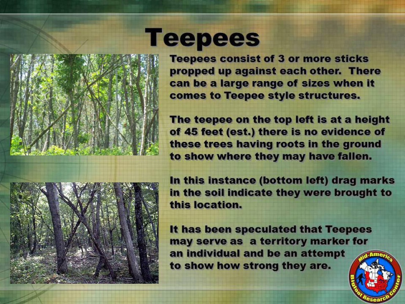 File:992953 4979236519111 1476790763 n.jpg