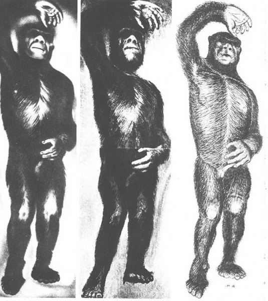 File:Minnesota Iceman.jpg