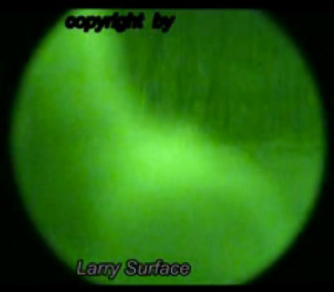 File:390433 10150953526415721 628965601 n.jpg