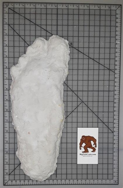 File:Yosemite National Park 2008 Bigfoot cast.jpg