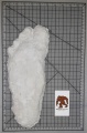 Thumbnail for version as of 21:10, 21 March 2021