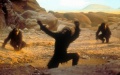 Thumbnail for version as of 21:30, 6 March 2021