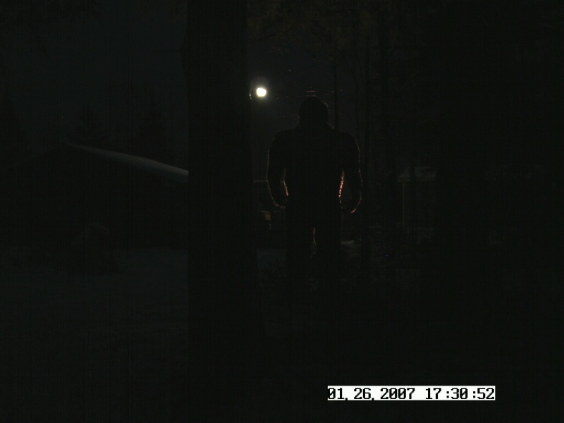 File:Big phil trail cam original.jpg