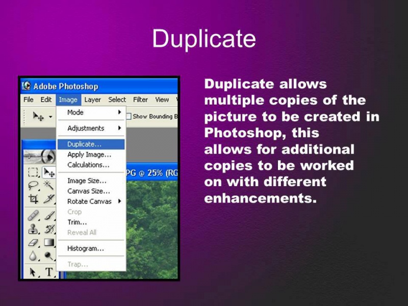 File:383476 4979353122026 1560405612 n.jpg