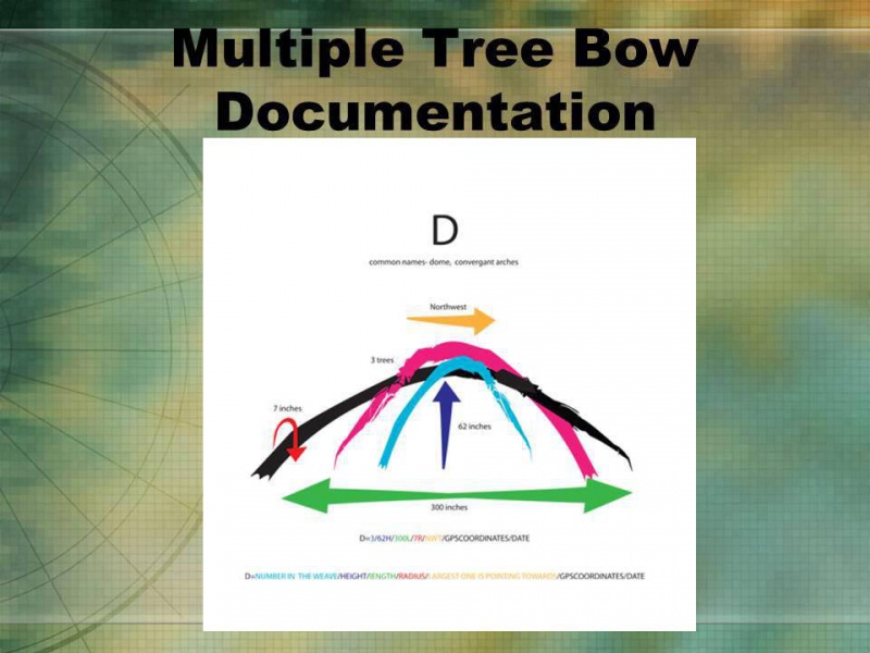 File:969154 4979239799193 1690107784 n.jpg