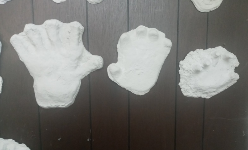 File:1994 Bigfoot Hand cast.jpg