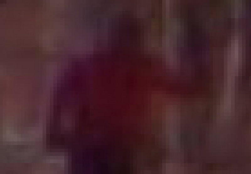 File:11 1200 Zoom.jpg