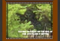 Thumbnail for version as of 18:19, 18 May 2023