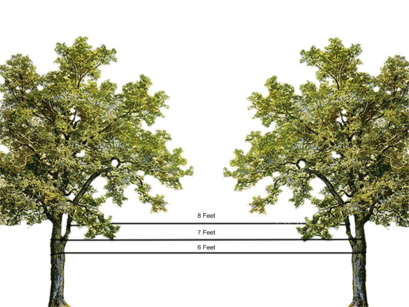 File:Drawing1.jpg