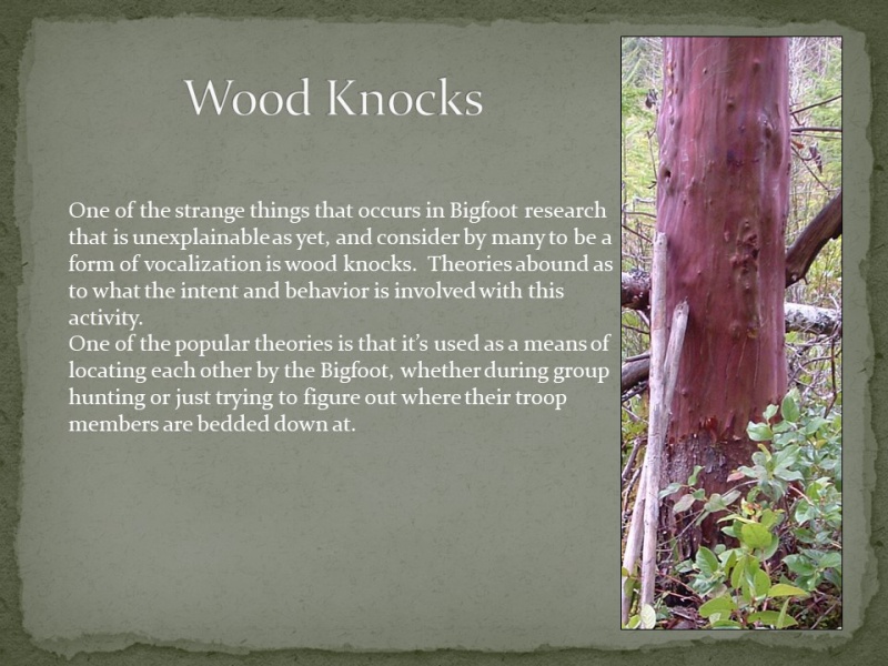 File:Slide5.jpg