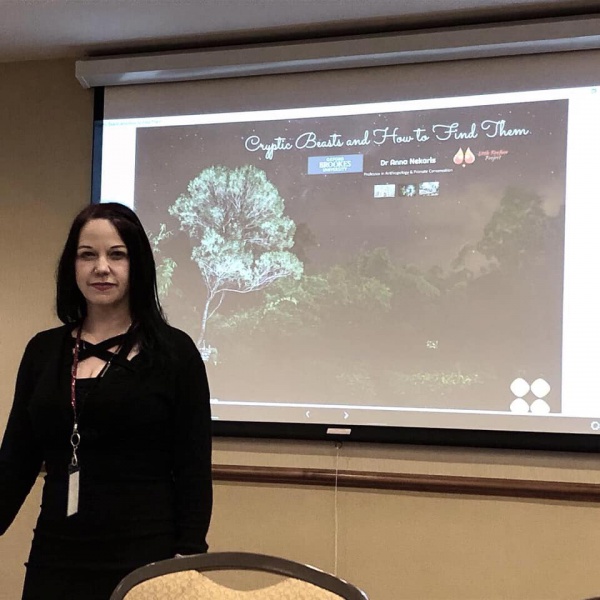 File:58787604 1633068810128865 908704759303634944 n.jpg