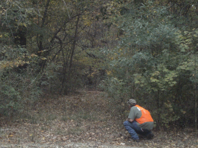 File:Two pictures taken by Biggjimm for comparison 2.jpg