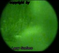 Thumbnail for version as of 20:16, 29 March 2023
