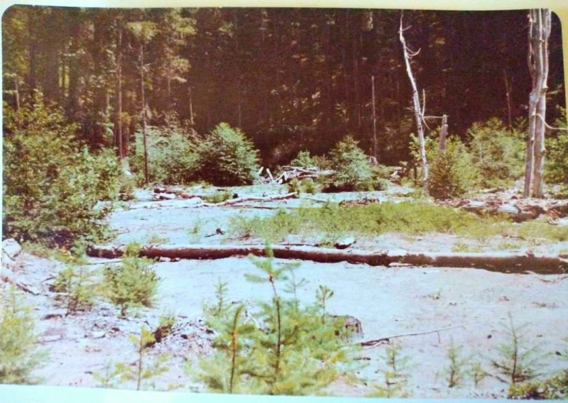 File:335459614 728025508869729 8095214255778502876 n.jpg