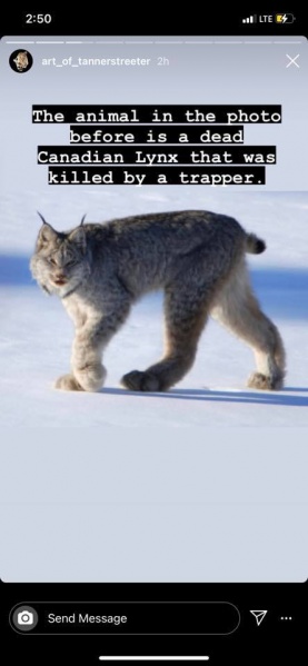 File:277991854 2707433429402167 9024374659918850768 n.jpg