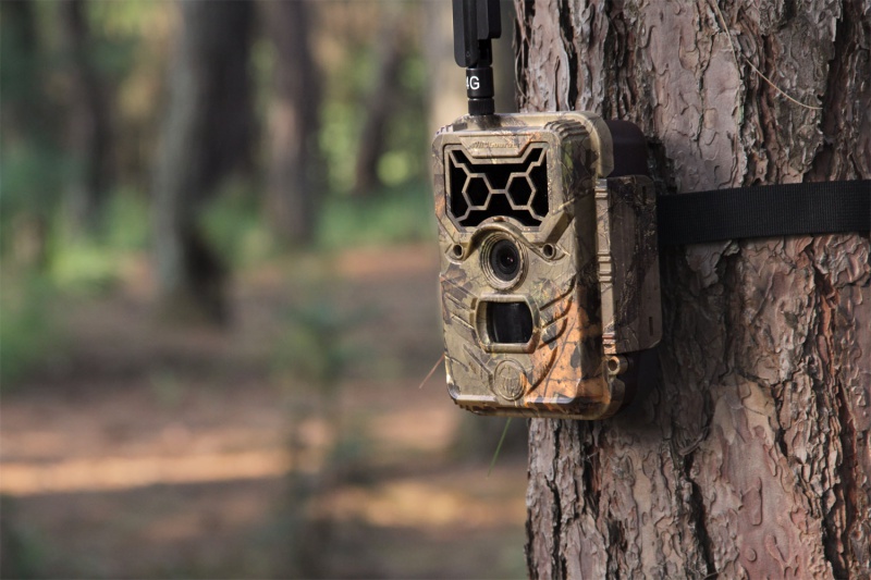 File:Trail camera.jpg