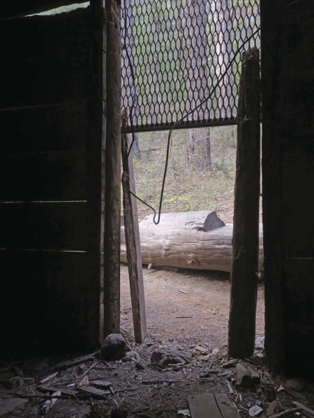 File:Bigfoot trap 3.jpg