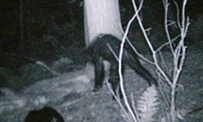 File:Jacobs446 1024x615 large.jpg