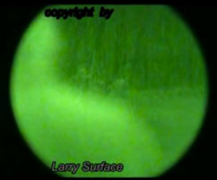 File:382841 10150953525630721 1544108610 n.jpg