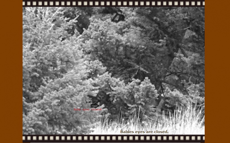 File:2016-02-15 10-54-31.jpg