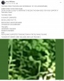 Thumbnail for version as of 17:49, 26 June 2023