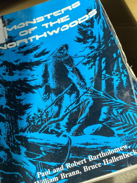 File:309848422 130935926362728 6949872024105808561 n.jpg